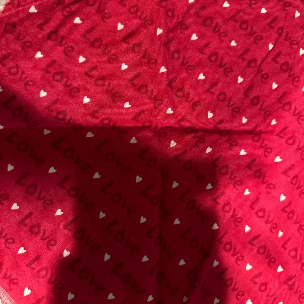 Dog/Pet Love- Valentine’s Day bandana- like new!